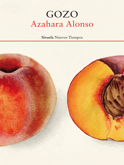 Cover image for Gozo